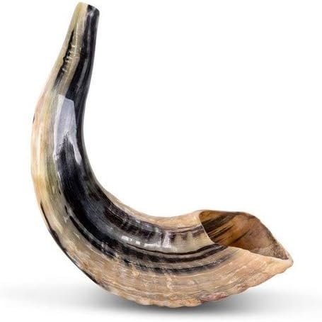 shofar